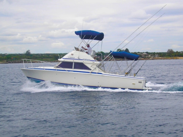 Palmera Fishing Dominican Republic